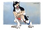 4_toes animal_genitalia animal_penis anthro arm_tuft athletic athletic_human balls big_balls big_penis biped_to_quadruped black_body black_fur black_hair black_nose black_pawpads blue_background blue_eyes body_hair border breasts breath brown_claws brown_eyes canid canine canine_genitalia canine_penis canis cheek_tuft claw_growth claws clothing clothing_scraps crouching dewclaw digitigrade domestic_dog elbow_tuft erection facial_tuft fangs feet female finger_claws fingers ftg_transformation fti_transformation fur fur_growth gender_transformation genitals growth gynomorph hair hair_to_fur hands_to_paws happy_trail heterochromia human human_to_feral husky inner_ear_fluff intersex leg_muscles lipsticking looking_at_self looking_down mammal mid_transformation mostly_nude multi_breast multicolored_body multicolored_fur neck_tuft nipples nordic_sled_dog open_mouth panties panting pawpads paws penis pink_nipples pink_penis scrappyvamp shaded sharp_teeth sheath shocked signature simple_background snout snout_growth solo species_transformation spitz surprised sylvia_sobaka tail tail_growth teeth toe_claws toes tongue tongue_out torn_clothing transformation tuft two_tone_body two_tone_fur underwear vein veiny_penis werecanid werecanine werecreature weredog werehusky white_body white_border white_fur
