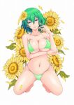 1girl bikini breasts flower full_body green_bikini green_eyes green_hair highres kazami_yuuka kneeling large_breasts looking_at_viewer navel smile solo sunflower swimsuit touhou yamada_satoshi 
