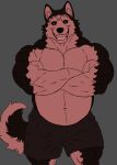 anthro biceps big_muscles biped canid canine canis clothing creepypasta digital_media_(artwork) domestic_dog fulgoraga fur hair hi_res husky looking_at_viewer male male_anthro mammal muscular muscular_anthro muscular_male nordic_sled_dog scalie simple_background smile smile.dog solo spitz tail teeth