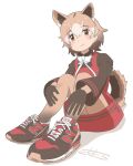  1girl animal_ears black_shoes blush bow bowtie brown_eyes brown_gloves brown_hair brown_pantyhose brown_shirt collared_shirt dog_ears dog_girl dog_tail dress elbow_gloves extra_ears gloves gradient_pantyhose hair_between_eyes highres kemono_friends looking_at_viewer multicolored_hair multicolored_shoes new_guinea_highland_wild_dog_(kemono_friends) pantyhose red_dress red_shoes sasakura_(jgay7435) shirt shoes short_sleeves sidelocks sitting smile sneakers solo tail two-tone_gloves white_bow white_bowtie white_hair white_shoes 