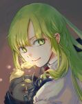  1other braid brown_background enkidu_(fgo_fes._2025)_(fate) fate/grand_order fate_(series) flower_pot gloves green_eyes green_hair hair_between_eyes highres holding holding_flower_pot long_hair looking_at_viewer plant potted_plant serpant_nergar smile 
