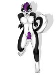 3:4 4_toes 5_fingers animal_genitalia animal_penis anthro balls black_body black_fur black_inner_ear_fluff black_nose blue_eyes canid canine canine_genitalia canine_penis canis domestic_dog feet fingers fur genitals hair hi_res husky inner_ear_fluff knot leg_markings male mammal markings multicolored_body multicolored_fur navel nipples nordic_sled_dog penis pi9o purple_hair purple_nipples purple_penis shaded simple_background socks_(marking) solo spitz tail toes tuft white_background white_balls