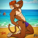1:1 2024 abs anthro asterozoan beach brown_body brown_fur brown_hair bulge clothed clothing cloud day digital_drawing_(artwork) digital_media_(artwork) echinoderm fabfelipe fur hair hand_behind_head hand_on_leg hand_on_own_leg haplorhine hi_res kneeling male mammal marine monkey muscular muscular_anthro muscular_male navel nipples outside pecs pinup pose primate sand sea sky solo starfish tail topless topless_anthro topless_male water