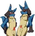  anthro balls blush brother brothers canine erection fur humanoid_penis invalid_tag jackal lil_cario lucario luki_cario male male/male mammal nintendo nude penis pok&eacute;mon red_eyes ryutzke_douga_(artist) scar show_off showing sibling twins uncut video_games 