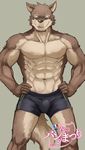  2014 abs anthro beardcat_(artist) biceps boxer_briefs brown_fur bulge canine clothed clothing fur green_eyes half-dressed male mammal muscular muscular_male pecs shorts simple_background smile solo teeth text topless underwear underwear_festival wolf 
