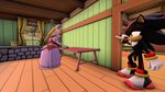  3d clothed clothing duo female male nude penis shadow_the_hedgehog sonic_(series) team_sonic vanilla_the_rabbit 