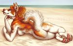  anthro beach big_butt butt canine dog feet female hair husky mammal mimi nude paws raised_tail reclining red_hair sea seaside simple_background tongue water 