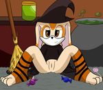  broom brown_eyes candy cauldron clothing costume cream_the_rabbit cub exposed exposing exposure food foxkai halloween holidays jar lagomorph leg_warmers legwear magic_user mammal pussy rabbit sitting sonic(series) sonic_(series) spread_legs spreading toes witch young 