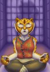  feline female kung_fu_panda mammal master_tigress meditating peaceful sacrificabominat solo tiger 