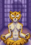  abs anthro breasts crossed_legs dreamworks feline female front_view inside kung_fu_panda mammal master_tigress meditating muscular navel nipples nude peaceful sacrificabominat solo tiger 