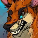  anatomically_correct angry blue_eyes feral holidayfox icon kangaroo koara macropus_rufus male mammal markings marsupial red_kangaroo rufus_b._cobber scary showing snarling solo tattoo teeth tribal 