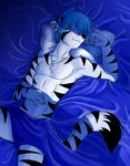  bed blue_hair chest_tuft eyes_closed feline fur hair keidran lying male mammal necklace on_back sapphwolf sleeping smile solo stripes tiger trace_legacy tuft twokinds 