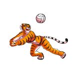 4_toes amber_eyes anthro bare_shoulders black_nose claws clothing feline female fur kung_fu_panda mammal master_tigress orange_fur panties solo stripes tiger toes underwear unknown_artist volleyball white_fur 