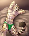  abs anthro bed biceps chest_tuft clothed clothing digital_media_(artwork) feline fur green_eyes hair half-dressed hands_behind_head looking_at_viewer male mammal muscular muscular_male pecs smile solo stripes tiger topless tuft underwear vallhund white_fur 