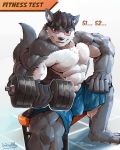  abs anthro biceps big_muscles canine clothing fur hi_res male mammal muscular muscular_male pecs waddledox 