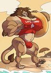  anthro beach bulge feline furious hyper hyper_muscles lion male mammal muscular nipples outside seaside solo 