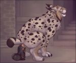  anal anal_penetration animal_dildo animal_sex_toy border cellar cheek_tuft claws crouching cute_fangs deep_penetration dildo dildo_in_ass dildo_insertion dildo_sitting ear_tuft ears_back equine_dildo eye_roll facial_tuft fangs felid feline female feral firefangdragon fur hi_res large_penetration looking_pleasured lube_on_dildo lynx mammal markings multicolored_body object_in_ass open_mouth pawpads penetration pink_pawpads pivoted_ears sex_toy sex_toy_in_ass sex_toy_insertion short_tail side_view simple_background solo spots spotted_body spotted_fur stone_floor stone_wall stretched_anus tail tan_body teeth tongue tuft two_tone_body wall_(structure) yellow_eyes zaire_(nightdancer) 