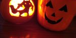  bad_pixiv_id halloween highres jack-o'-lantern kyubey lamp mahou_shoujo_madoka_magica miki_shirley no_humans photo pumpkin 