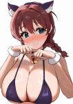  1girl animal_ear_fluff animal_ears aqua_eyes bell black_bra blush bra braid breasts brown_hair cat_ears cleavage closed_mouth collarbone commentary_request embarrassed emma_verde fake_animal_ears freckles hair_between_eyes heart heart-shaped_pupils highres huge_breasts jingle_bell looking_at_viewer love_live! love_live!_nijigasaki_high_school_idol_club low_twintails neck_bell paw_pose pisagi sidelocks simple_background symbol-shaped_pupils twin_braids twintails underwear upper_body wavy_mouth white_background 