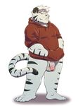  balls chubby clothed clothing feline flaccid half-dressed mammal penis tiger wdh3905 