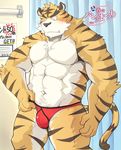  2014 abs anthro biceps big_muscles blush briefs bulge clothed clothing curtains feline fur half-dressed male mammal muscular muscular_male pecs solo speedo stripes swimsuit teeth text tiger topless underwear underwear_festival yellow_fur 椎家 