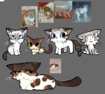  :< ^w^ ambiguous_gender blue_sclera blush blush_lines domestic_cat felid feline felis female feral green_sclera grey_background group mammal realistic realistic_feral reference_image shy simple_background whiskers zyxxenise 