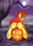  2015 anus equine fan_character female feral halloween holidays horse mammal my_little_pony penetration pony pumpkin pussy ratofdrawn vaginal vaginal_penetration 