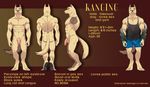  anthro canine dog humanoid_penis kien-biu male mammal model_sheet penis ranging solo 