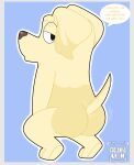 2025 anthro artist_name bedroom_eyes bent_leg big_butt big_eyes biped bird_dog black_eyes black_nose blonde_eyebrows blue_background bluey_(series) border butt canid canine canis crouching crouchingli0n dialogue digital_drawing_(artwork) digital_media_(artwork) dipstick_ears domestic_dog ear_markings english_text eyebrows female floppy_ears fur glistening glistening_nose grey_border half-closed_eyes hi_res hunting_dog iris janelle_(bluey) light_body light_fur looking_at_viewer looking_back looking_back_at_viewer mammal mature_anthro mature_female monotone_background motion_lines motion_outline multicolored_ears name_drop name_in_dialogue narrowed_eyes no_pupils nude nude_anthro nude_female outline plantigrade raised_heel retriever seductive simple_background snout solo speech_bubble tail talking_to_viewer text thick_eyebrows three-quarter_view twerking white_outline white_sclera white_speech_bubble yellow_body yellow_ears yellow_fur yellow_tail yellow_text