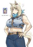  1girl :3 animal_ears bags_under_eyes belt blonde_hair breasts chest_harness crop_top denim hands_on_own_hips harness highres horse_ears horse_girl horse_tail huge_breasts jeans johnny_joestar jojo_no_kimyou_na_bouken maikamiaka mature_female muscular muscular_female pants personification scarf sleeveless slow_dancer_(jojo) smile solo star_(symbol) star_print steel_ball_run tail 