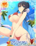  1girl :o alternate_hairstyle bikini black_hair blue_eyes border breasts card_(medium) character_name day flower game_cg hair_bun hair_flower hair_ornament ikaruga_(senran_kagura) inflatable_dolphin inflatable_raft inflatable_toy large_breasts long_hair looking_at_viewer navel official_alternate_hairstyle official_art on_raft outdoors palm_tree red_bikini rubber_duck senran_kagura senran_kagura_new_wave side-tie_bikini_bottom sitting solo swimsuit third-party_source tree underboob very_long_hair wet white_flower 