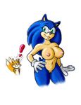  &lt;3 breasts clothing crossgender gloves hedgehog invalid_tag mammal matthew_the_mouse miles_prower nipples pussy simple_background sketch sonic_(series) sonic_the_hedgehog 