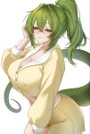  1girl aquillasnail arknights arknights:_endfield artist_name breasts buttons cleavage closed_mouth commentary fluorite_(arknights) green_eyes green_hair green_tail highres large_breasts ponytail solo tail white_background 
