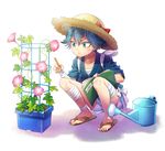  :&lt; ankle_wrap blue_eyes blue_hair book flower hat holiday-jin japanese_clothes male_focus morning_glory open_book pencil sandals sayo_samonji scar shorts solo squatting sweat touken_ranbu watering_can 