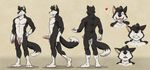  anthro balls canine erection flaccid humanoid_penis male mammal model_sheet penis solo tidus_(character) wfa wolf 