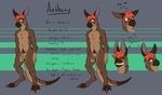  anatomically_correct kangaroo male mammal marsupial model_sheet nude piercing skunkjunkie 