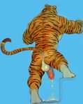  anus balls blue_background butt colored cum erection feline iceman1984 male mammal muscular nude orgasm penis simple_background solo tiger 