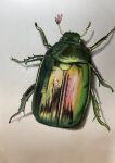  absurdres animal animal_focus beetle bug colored_pencil_(medium) commentary_request highres no_humans ohp95kg original photorealistic realistic traditional_media 