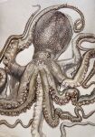  animal animal_focus colored_pencil_(medium) commentary_request highres no_humans octopus ohp95kg original photorealistic realistic traditional_media white_background 