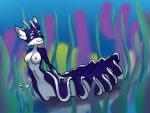 2022 4:3 anthro aquatic aquatic_gastropod areola artist_name blurred_background breasts canid canine digital_drawing_(artwork) digital_media_(artwork) female fox fur gastropod gloves_(marking) hands_at_sides heterochromia hybrid kaorisorahoshi mammal markings mermay mollusk multicolored_body nipples nude nudibranch nudibranch_merfolk purple_body purple_fur sea_slug seaweed shaded signature slug smile solo tanti text two_tone_body underwater water watermark white_body widescreen