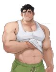  1boy artist_name avatar_legends bara belly biceps black_hair bolin collarbone english_commentary green_shorts highres looking_down looking_to_the_side male_focus muscular muscular_male pectoral_cleavage pectorals plump shinichiii shorts tank_top the_legend_of_korra torn_clothes torn_tank_top twitter_username white_background white_tank_top 