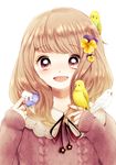  :d animal animal_on_head animal_on_shoulder bird bird_on_hand bird_on_head bird_on_shoulder blush brown_eyes brown_hair flower hair_flower hair_ornament hato_tsukasa highres long_hair long_sleeves on_head open_mouth original pansy parakeet portrait smile solo sweater white_background 