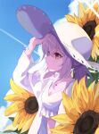  1girl atsuko_(blue_archive) atsuko_(swimsuit)_(blue_archive) blue_archive blue_sky bra braid commentary_request dress flower frilled_bra frills halo hat highres jewelry kuronagasu_ir looking_to_the_side necklace purple_hair red_eyes ribbon shaded_face short_hair sky solo sunflower underwear white_bra white_dress white_halo white_hat white_ribbon wrist_ribbon 