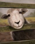  2022 alexpahomov black_eyes black_nose bovid caprine detailed detailed_fur domestic_sheep fence feral fur grass herdwick mammal mud plant quadruped shaded sheep solo white_body white_fur 