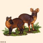 2023 alexpahomov black_eyes black_nose brown_body brown_fur deer duo feral fern fur grass horn mammal mud new_world_deer northern_pudu plant pudu quadruped simple_background southern_pudu tan_body tan_fur white_background 