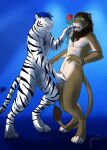  2015 animal_genitalia anthro anthro_on_anthro ball_grab balls blue_eyes blue_hair brown_body brown_fur brown_hair brown_mane dated duo facial_markings fangs felid flower fully_sheathed fur genitals green_eyes grin hair head_markings hi_res holding_flower holding_object holding_rose hufnaar jewelry lion male male/male mammal mane markings necklace nude open_mouth pantherine penis penis_tip plant red_tongue rose_(flower) sheath shocked short_hair signature smile standing striped_arms striped_body striped_face striped_fur striped_legs striped_markings striped_tail stripes tail tail_markings tail_tuft teeth tiger tongue tuft white_balls white_body white_fur 
