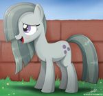  2015 cute earth_pony equine female feral friendship_is_magic horse mammal marble_pie_(mlp) my_little_pony pony solo the-butcher-x 