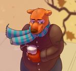  anthro autumn bear beverage chubby clothed clothing coat coffee cold drink fall food fringe high-angle_shot junga male mammal overweight scarf solo warm_colors wind 