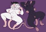 anthro athletic athletic_anthro athletic_female big_breasts black_body black_fur breasts buckteeth duo female fur genitals green_eyes hairless_tail hi_res horn huge_breasts lying mammal murid murine on_back rat red_eyes rodent skaven skye3337 slightly_chubby slightly_chubby_anthro slightly_chubby_female smile teeth thick_thighs vulva warhammer_(franchise) whiskers white_body white_fur