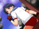  1girl :d ass bandaid bandaid_on_cheek bandaid_on_face blue_hair blurry blurry_background blush buruma commentary_request day dutch_angle fingerless_gloves from_behind from_below gloves grey_eyes gym_uniform looking_back matsubara_aoi open_mouth outdoors red_buruma red_gloves sakaki_imasato shirt short_hair sitting sky smile solo sports_bra_visible_through_clothes sweat t-shirt teeth to_heart to_heart_(series) tomboy towel towel_around_neck tree upper_teeth_only v-shaped_eyebrows white_shirt 